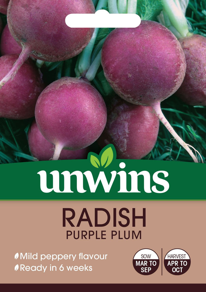 Unwins Radish Purple Plum