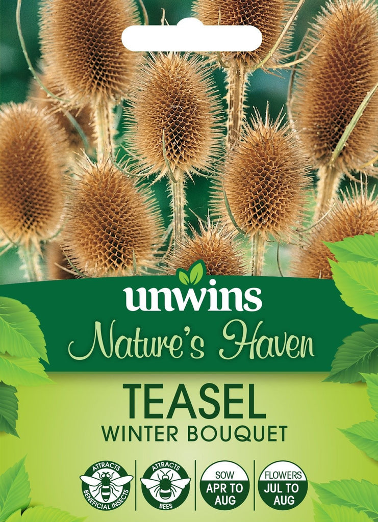 Unwins Nature's Haven Teasel Winter Bouquet
