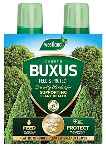 Westland 2In1 Buxus Feed & Protect 2 x 500ml