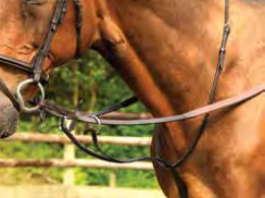 Equisential Leather Martingale