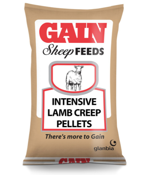 Gain Intensive Lamb Pellets 25kg
