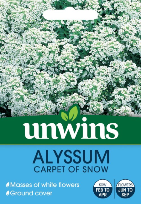 Unwins Alyssum Carpet Of Snow