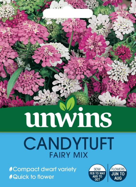 Unwins Candytuft Dwarf Fairy Mix