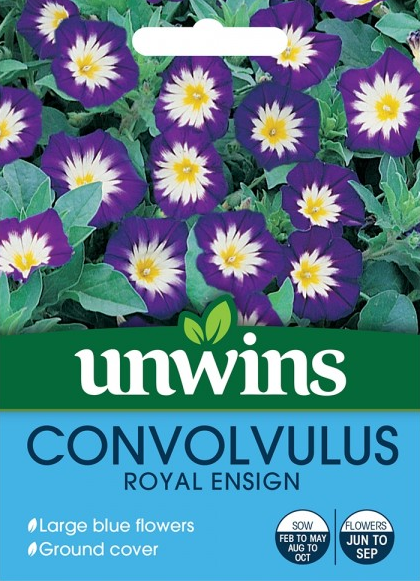 Unwins Convolvulus Royal Ensign