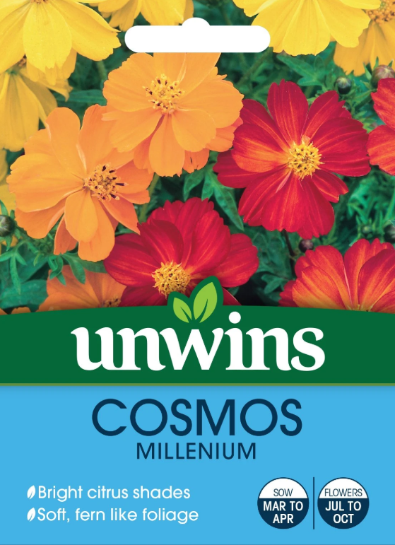 Unwins Cosmos Millennium