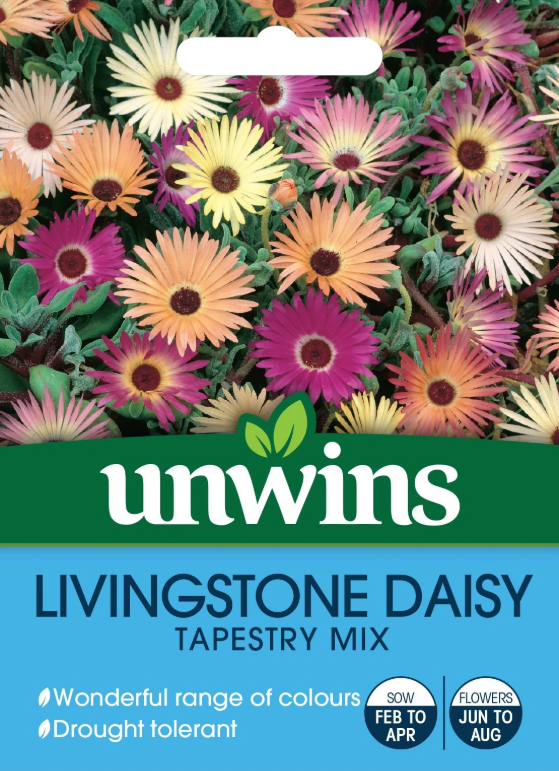 Unwins Livingstone Daisy Tapestry Mix