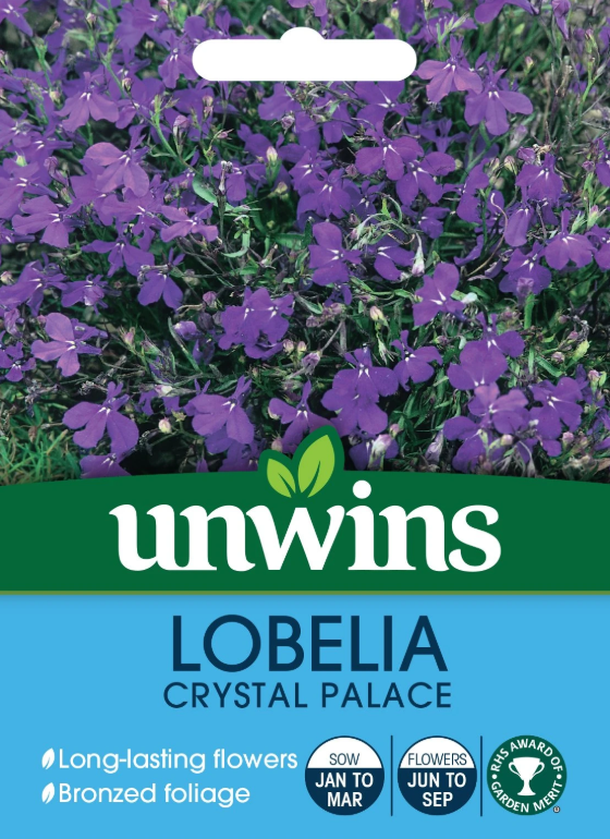 Unwins Lobelia Crystal Palace